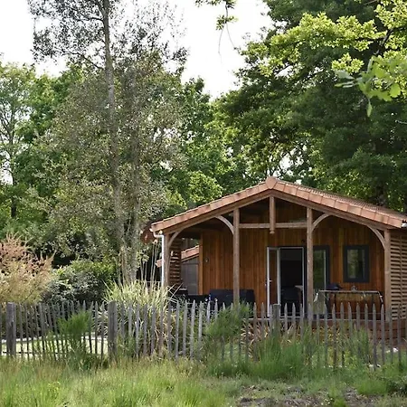 Chalet Prestige Camping 4* Vue Sur La Foret *